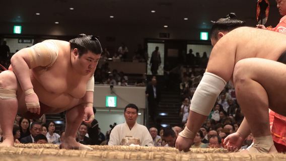 Fukuoka Grand Sumo Tournament: Witness the Pinnacle Battle of Rikishi | Includes Chinese/English Commentary