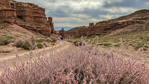 Excursión de un día al Cañón de Charyn desde Almatý en un grupo pequeño de 11 personas