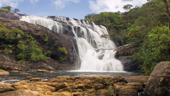 Exclusive Nuawara Eliya: Horton Plains and Tea Factory Tour