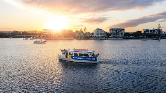 Mooloolaba: Hop-On Hop-Off Ferry Return Ticket