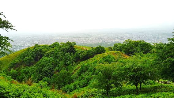Nara: Wandern Sie auf den Berg Wakakusa und begegnen Sie wilden, freilaufenden Hirschen