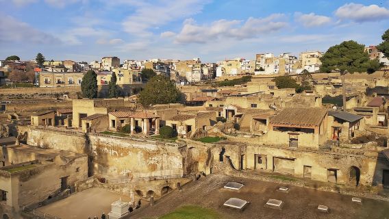 Naples: Herculaneum dan Vesuvius Day Trip