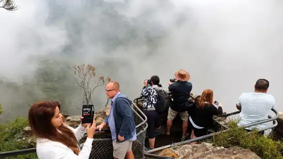 雪梨：藍山晚出發，健行瀑布和無尾熊