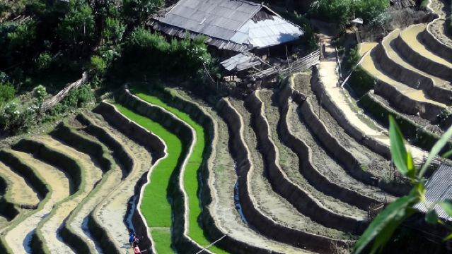 Са Па: 6-часовой поход по долине Мыонг Хоа с местным этническим гидом