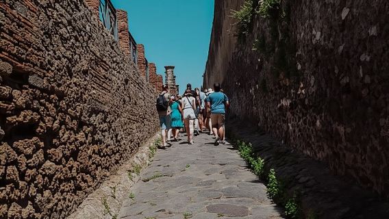 From Naples: Pompeii & Herculaneum with Archaeologist Guide