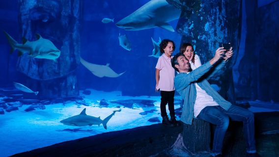 Mall of America: Sea Life Minnesota Aquarium Entry Ticket