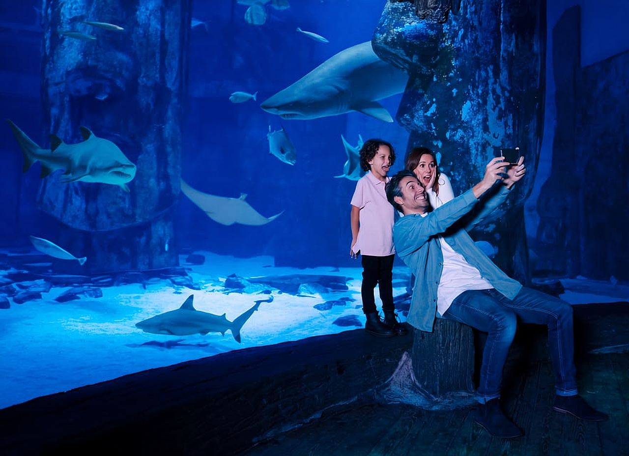 Mall of America: Eintrittskarte für das Sea Life Minnesota Aquarium