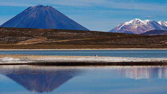 Arequipa | Salinas Lagoon dan mandian terma lojen