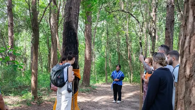 清邁：茵他儂公園和 2 小時健行 Pha Dok Siew