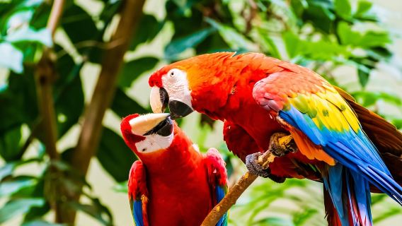 Montreal: Lawatan Peribadi Biodome Akses Masuk Pantas dengan Tiket Masuk