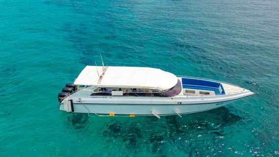 Phuket: Racha Island speedboating Snorkeling 1-day tour with Transfers and Option to Add Deep Dives