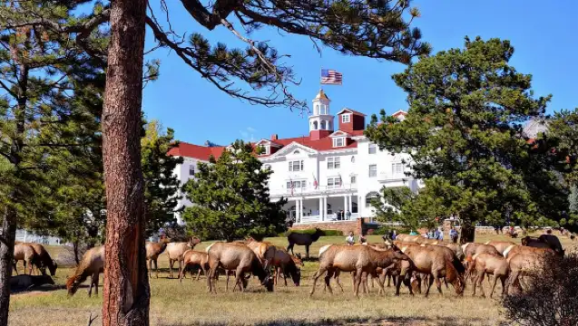 Discover Rocky Mountain National Park