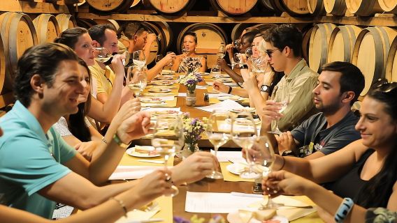 Excursión a Chianti desde Florencia