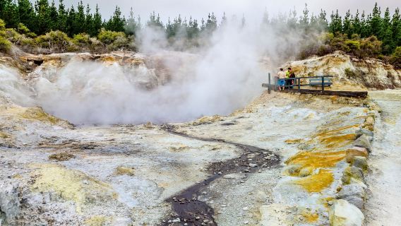 紐西蘭奧克蘭胡卡瀑布+地熱溫泉公園包車遊【北島經典路線】
