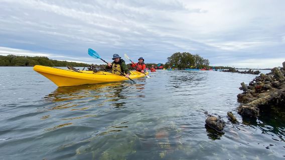Recorrido en kayak por el Santuario de Delfines y el Cementerio de Barcos