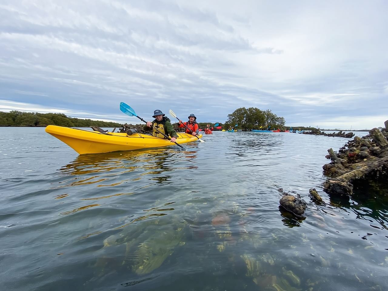 Dolphin Sanctuary and Ships Graveyard Kayak Tour