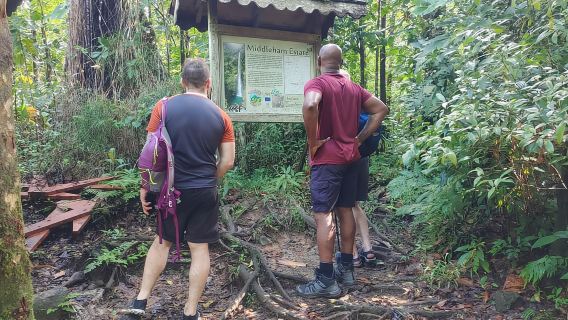 Dominica: Pengembaraan Hutan Hujan dengan Berenang Air Terjun