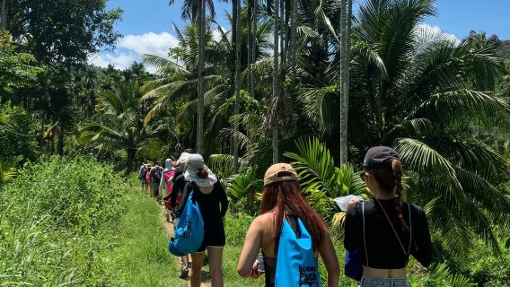 Wanning Tropical Rainforest Hiking Day Tour