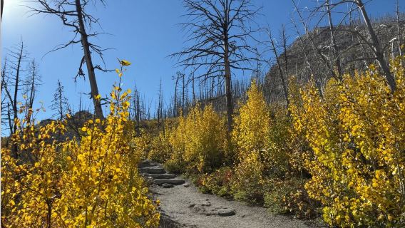 Calgary, Canada + Waterton Lakes National Park of Canada Round-Trip Day Tour