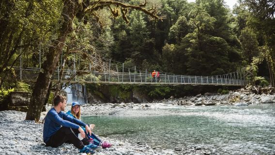 perjalanan satu hari Milford Sound Southern Explorer (Opsional: Milford Track/Peternakan/Kebun Anggur)