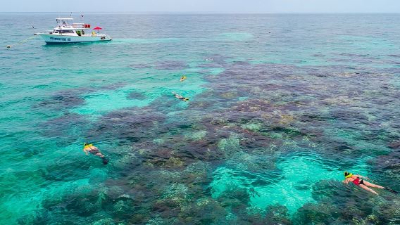 Key Largo Snorkeling Tour - rental mask, fins and vest INCLUDED