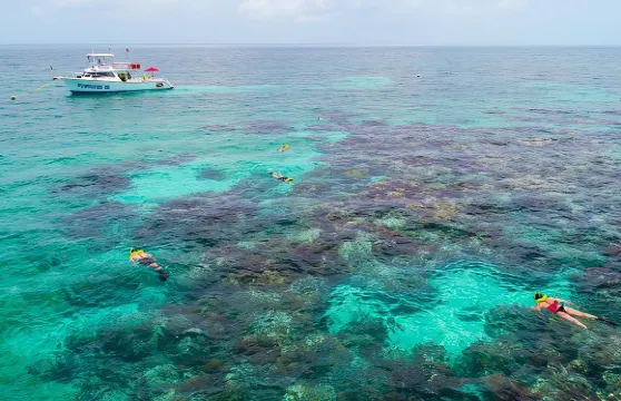基拉戈島浮潛之旅 - 含面罩、腳蹼和救生衣租賃