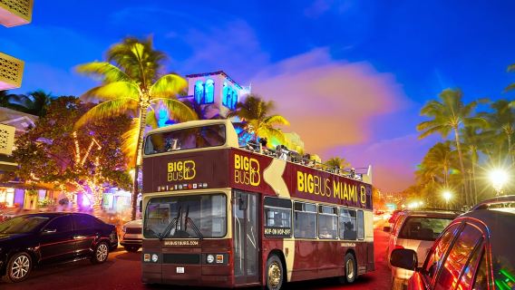 Big Bus Miami: Sightseeing Tour by Night