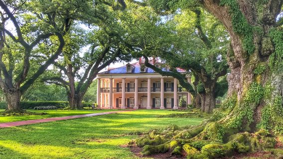 Lawatan Oak Alley Plantation dengan Pengangkutan dari New Orleans