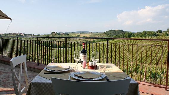Landausflug Livorno: Private Weintour durch das Chianti-Gebiet und die toskanische Landschaft