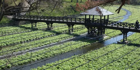 長野出發松本市私人一日遊