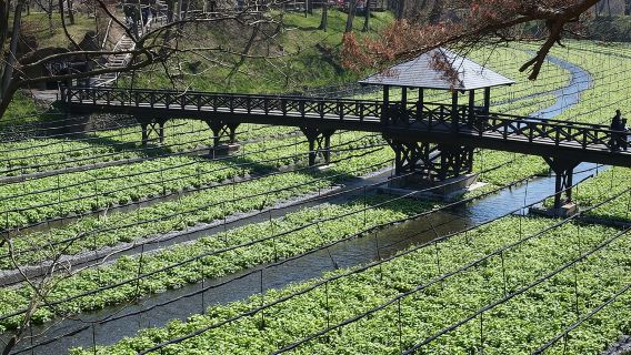 Tour riêng một ngày đến Matsumoto từ Nagano