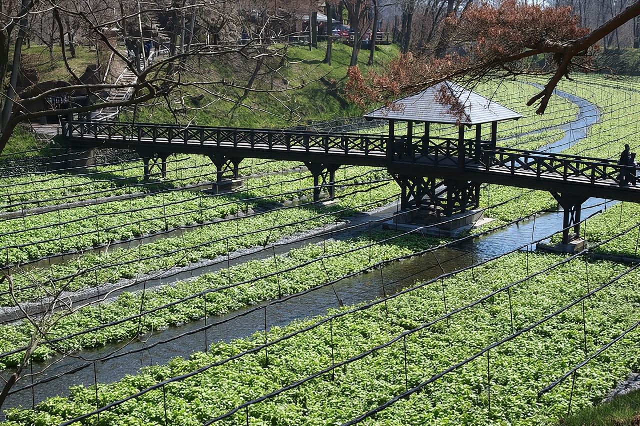 ทัวร์ส่วนตัวที่มัตสึโมโตะ 1 วัน จากนากาโนะ