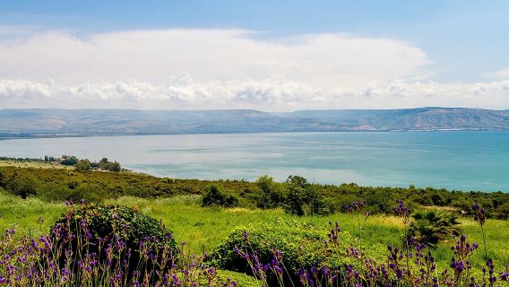 Tour riêng: Chuyến đi trong ngày đến Nazareth, Tiberias và Biển hồ Galilee từ Jerusalem