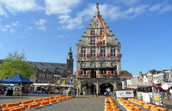 豪達私人步行導賞團:歷史、建築與芝士