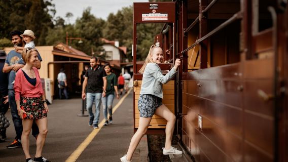 รถไฟไอน้ำพัฟฟิ่งบิลลี่ที่เมลเบิร์นและ ทัวร์ 1 วัน