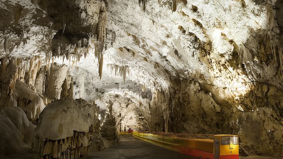 Half-day Postojna Cave and Predjama Castle tour from Ljubljana