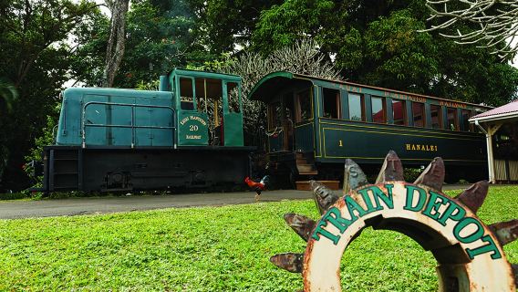 Hawaiian Package with Train Ride