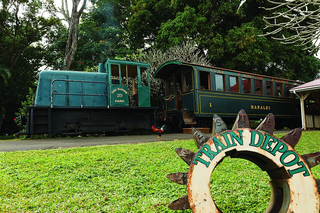 Hawaiian Package with Train Ride