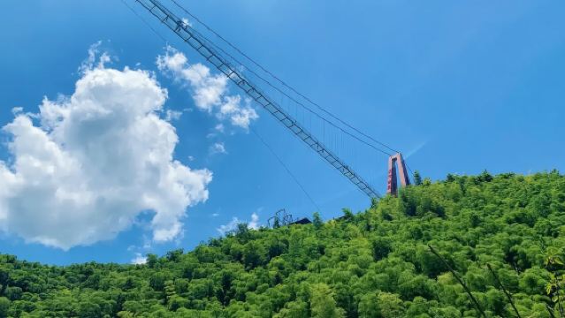 中國大竹海一日遊【包車遊】餘村+雲上草原