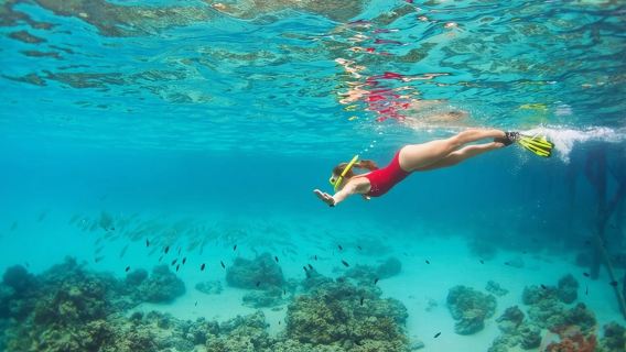 Nha Trang Bay: Explore Half-day Snorkeling at Coral Reef
