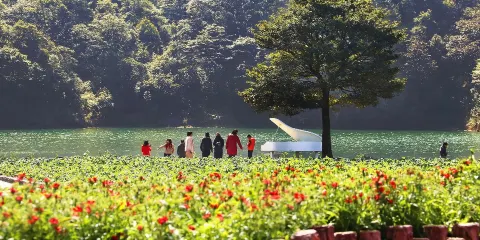 獨立包團上門接送從化石門公園天池花海+南平小鎮避暑溯溪摘果一天