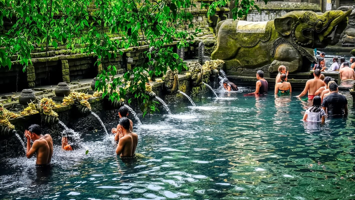 De norte a centro: delfines, templos y palacios: una aventura cultural de un día en Bali