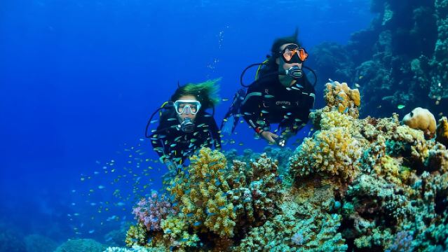 หลักสูตรดำน้ำลึกสำหรับผู้เริ่มต้นแบบเต็มวัน พร้อมการสอนส่วนตัว ที่ราชาใหญ่