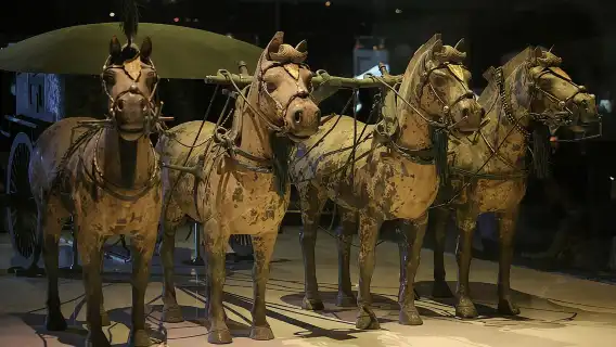 Xi'an Private Day Tour Terracotta Army, Muslim Bazaar, No Shops