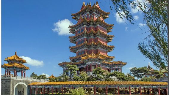 青島日遊