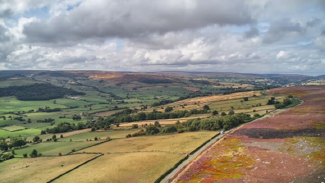 Excursión de un día a North York Moors y Whitby desde York