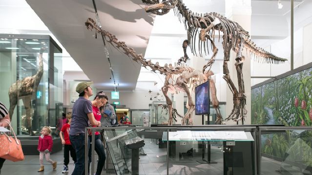 Skip the Line: Auckland Museum General Admission Ticket