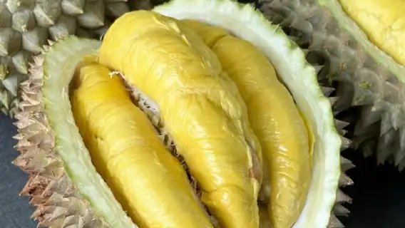 Merlion Yaki Voucher (Super Sister Durians)