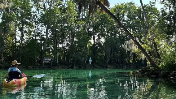 3 Hour Guided Single Kayak Adventure