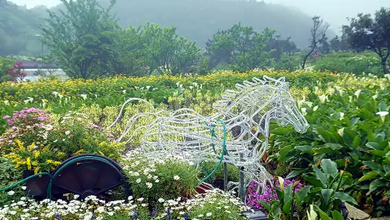 Beitou Geothermal Valley, Yangmingshan Scenic Area, and Yehliu Day Tour (Hotel Pickup)